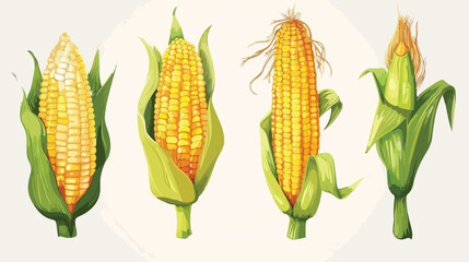 Isolated corn design Vector illustration. Vector style