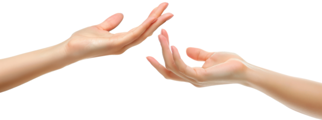 Female hands symbolizing partnership and agreement isolated on white background