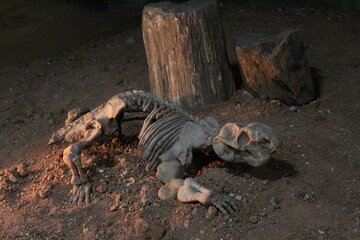 A small herbivore dinosaur on display scene on a Paleontology Museum and Geology in Rio de Janeiro city