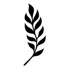 Sketch of crack willow leaf. Vector illustration. Black and white. © Art Alex