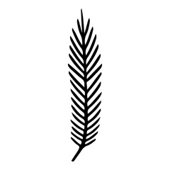Fototapeta premium Hand drawn leaf of Christmas tree. Vector illustration.