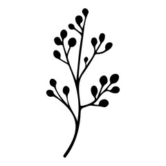 Sketch image of a branch with berries. Vector illustration.