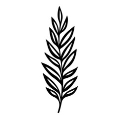 Hand drawn leaf of weeping willow tree. Vector illustration.
