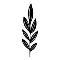 Hand drawn leaf of sweet chestnut tree. Vector illustration.