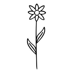 Hand drawn silhouette of chamomile flower. Vector illustration.