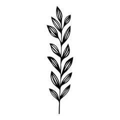 Hand drawn leaf of locust tree. Vector illustration.