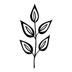 Hand drawn leaf of buckeye tree. Vector illustration.