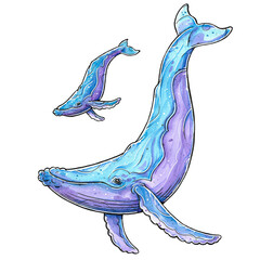 Gouache and Ink Humpback Whale with calf isolated Illustration 