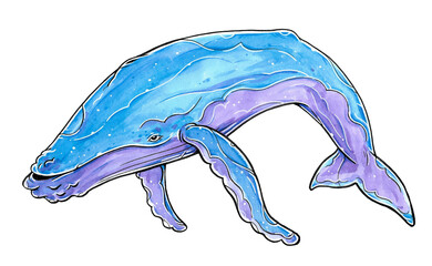 Gouache and Ink Humpback Whale isolated Illustration 