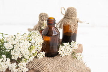 Tincture of leaves and flowers of yarrow officinalis (Achillea) in a glass bottle. Traditional...