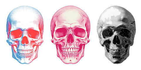Skull png cut out element set