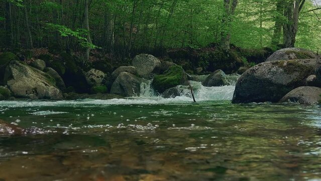 1080p 60fps qualtiy video of a river flowing in the forest close to the water with river sound.
