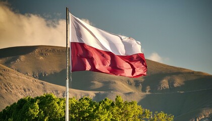 National flag of poland on a flagpole, perfect lighting