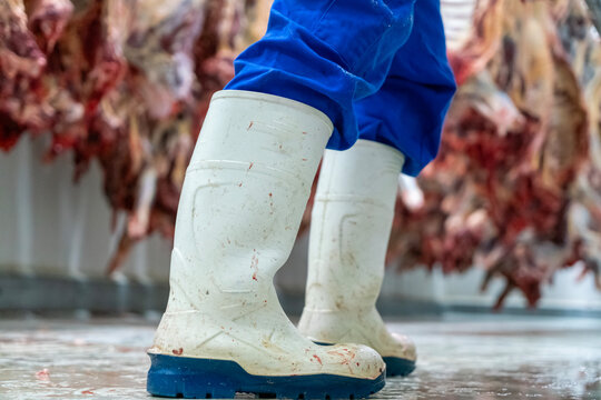 Close up of a worker's white rubber boots among the hooked cattle carcasses in the giant refrigerator at the slaughterhouse.
