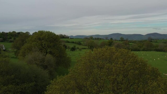 Aerial view of rural farm fields with hedge rows and trees landscape of England and Wales taken from drone UK 4K
