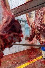 Close up view of cutting up a cow carcass with a chainsaw in slaughterhouse.