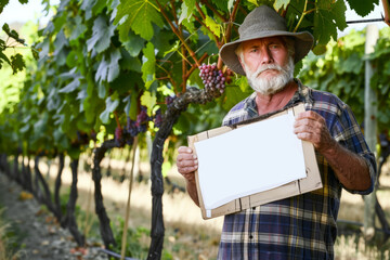 Mature vintner in vineyard with sign against wine imports
