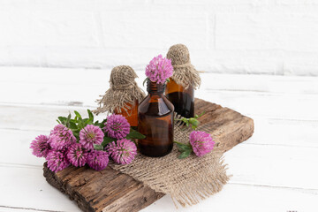 tincture of clover flowers (Trifolium) in a glass bottle. Traditional medicine, the collection of...