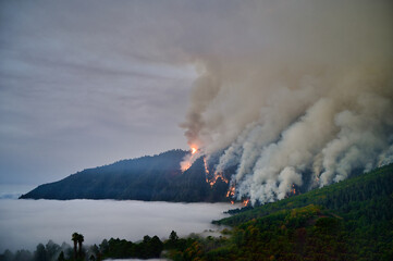 Forest fire with flames and smoke close to homes