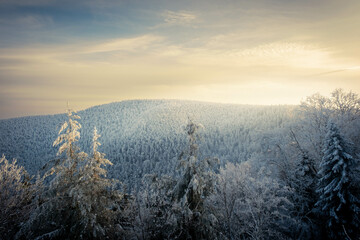 Sommet enneigé des Vosges: Majesté Hivernale au Plus Haut Point