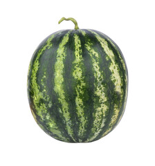 green watermelon on transparent png