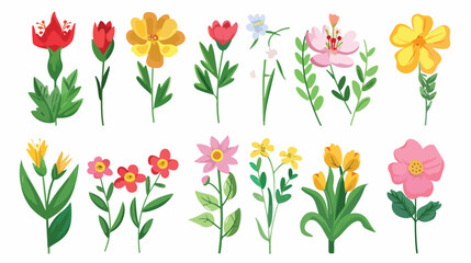 Spring Flower Vector Elements set Vector 