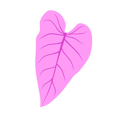 Doodle leaves unique philodendron illustration leaf botanical drawing that can be used for sticker, book, scrapbook, icon, decorative, e.t.c cute with pink color 
