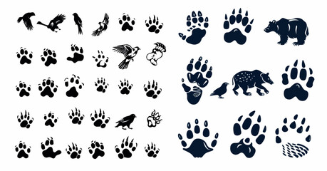 Animal foot prints, wild animal silhouettes, animals walking paw tracks. Footprint bear