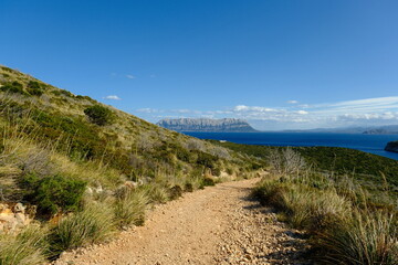 Beautiful Landscape at the coast of Sardinia, Italy. Golfo Aranci © quinti