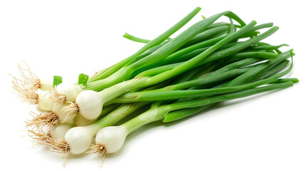 bunch of green onions on a white background