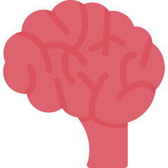 Human Brain Icon