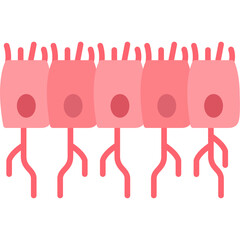 Ependymal Cells Icon
