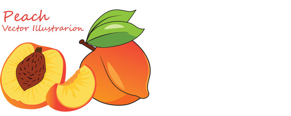 illustration of a whool, half and slice peach on white background