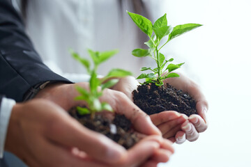 Hands, team and plants in soil for earth day, environment conservation or future sustainability of...