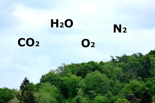 Atemgase der Luft vor blauem Himmel und B&auml;umen zum Thema Luftqualit&auml;t, Umweltverschmutzung, CO2 und Abgasbelastung, Zusammensetzung der Luft