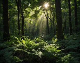 Explore the beauty of the forest with our image of a lush green canopy, where sunlight filters through the leaves and creates a dazzling display of light and shadow