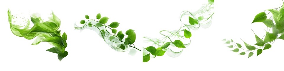 Pack of tropical leaves without background .png 