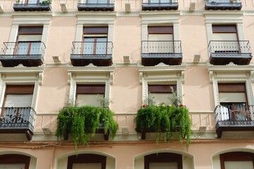 Vivid green plants overgrowing balconies on residential buildings downtown Zaragoza, Spain. Street upward view