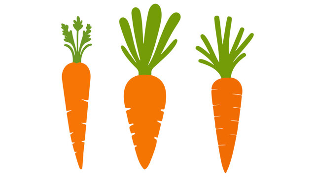 set of carrots in vector