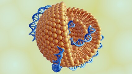 3d rendering of DNA helixes conjugated liposomes as DNA-Liposome complex