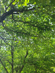 일상적이고 특별한것이 없지만 소소하고 자연에서 주는 소소함 즐거움 