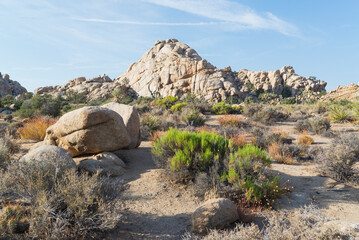 rocks in the desert