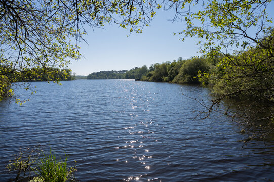 black pond in seignosse in france