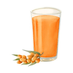 Watercolor seaberry orange juice in glass with sea buckthorn berries watercolor illustration isolated on white background. Hand drawn summer herbal drink made of Hippophae. Organic healthy beverage