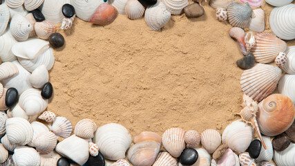 Sea shells and snails of different sizes and colors forming a frame on the sand