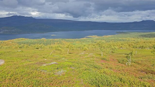 Dramatic light after a storm with a rainbow on the horizon - over Lake Langas in the Saltoluokta Valley, with the golden hues of Swedish Lapland and yellow birch leaves swaying in the wind