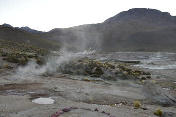 Geyser el Tatio no Chile