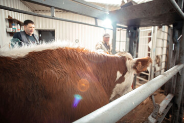 farmer operating complex machinery within a chute, illustrating the integration of engineering and...