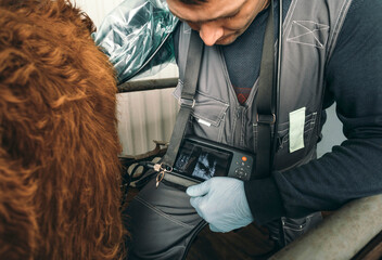 Innovations on the Farm: Ultrasound Technology: Veterinarians use ultrasound technology