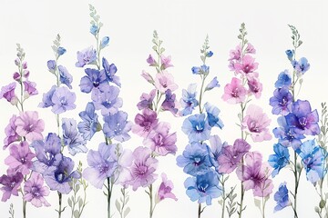 Soft and serene, hand drawn pastel watercolor of Larkspur flowers, set against a pristine white background